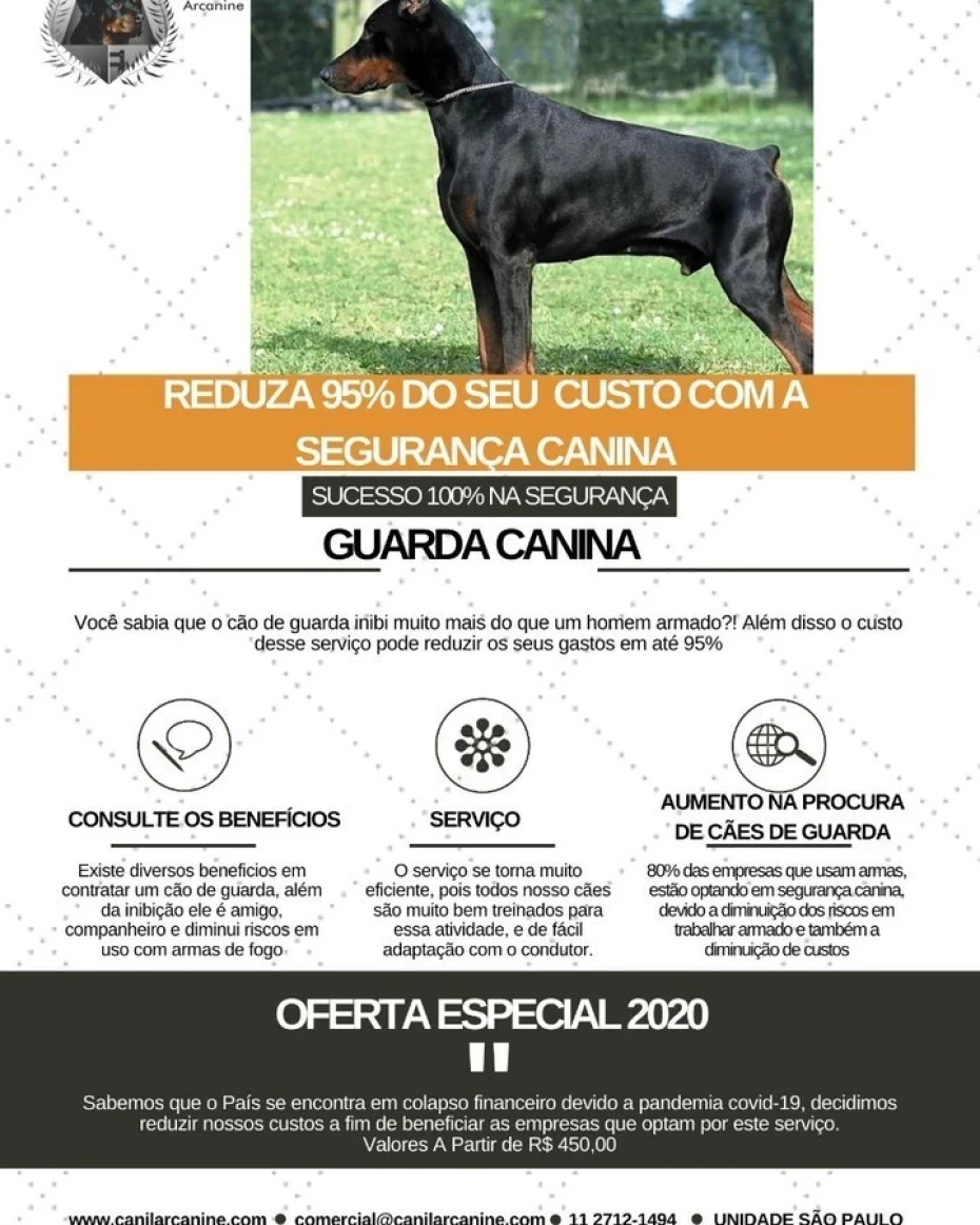Foto 6:  — Canil Arcanine Locação de Cães de Guarda para Segurança