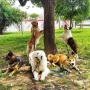 Foto 9